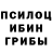 Псилоцибиновые грибы мицелий EvilCore Guard